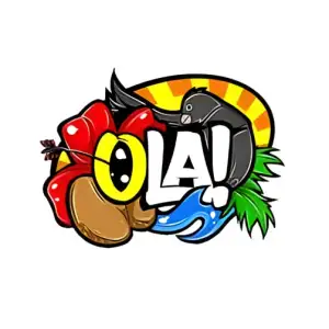 Ola Rent A Car